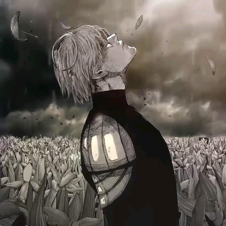 tensei666 avatar