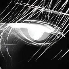 sixset7002 avatar