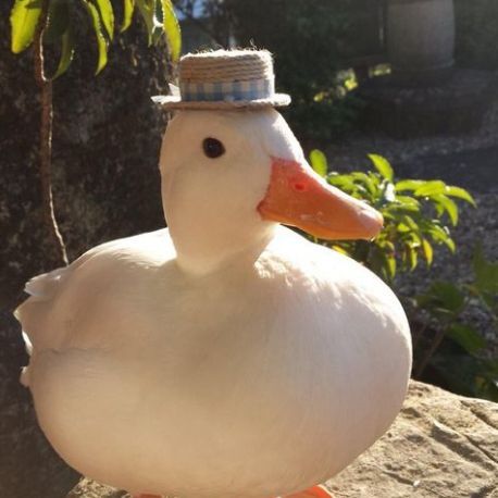 GoofyAFDuck