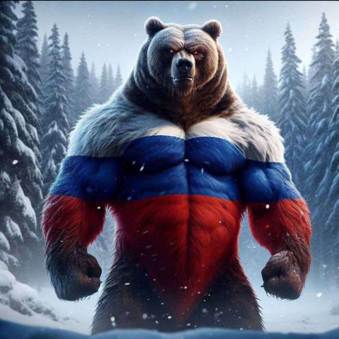 TdiFox avatar