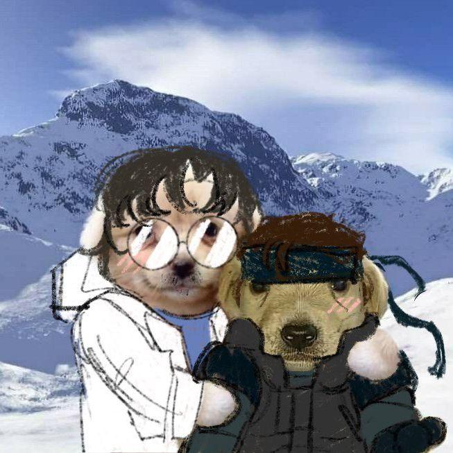 phonyapricot avatar