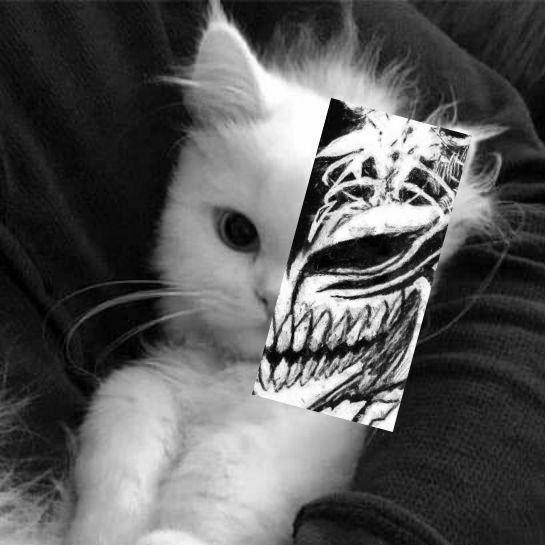 qqpov avatar