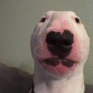 PluVomit avatar