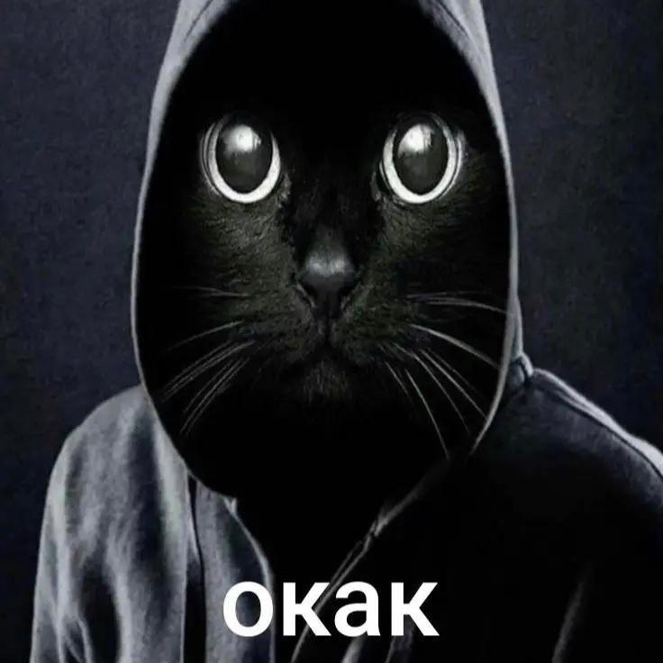 diabloraito avatar