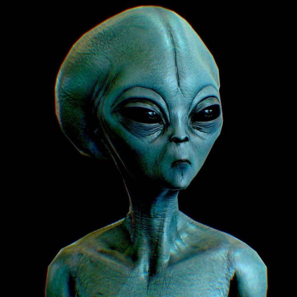 9l00 avatar