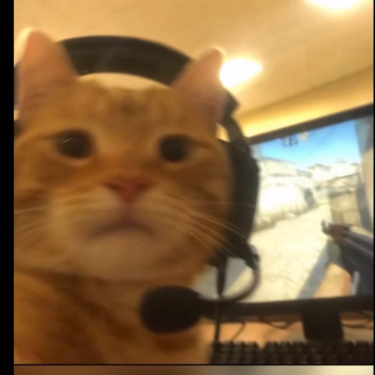 spykker FACEIT avatar