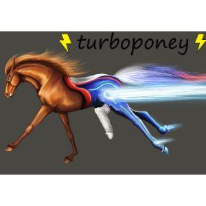 turbo-poney avatar