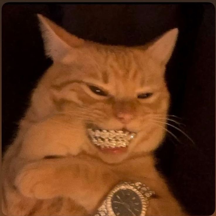 J-A-N-K-I avatar