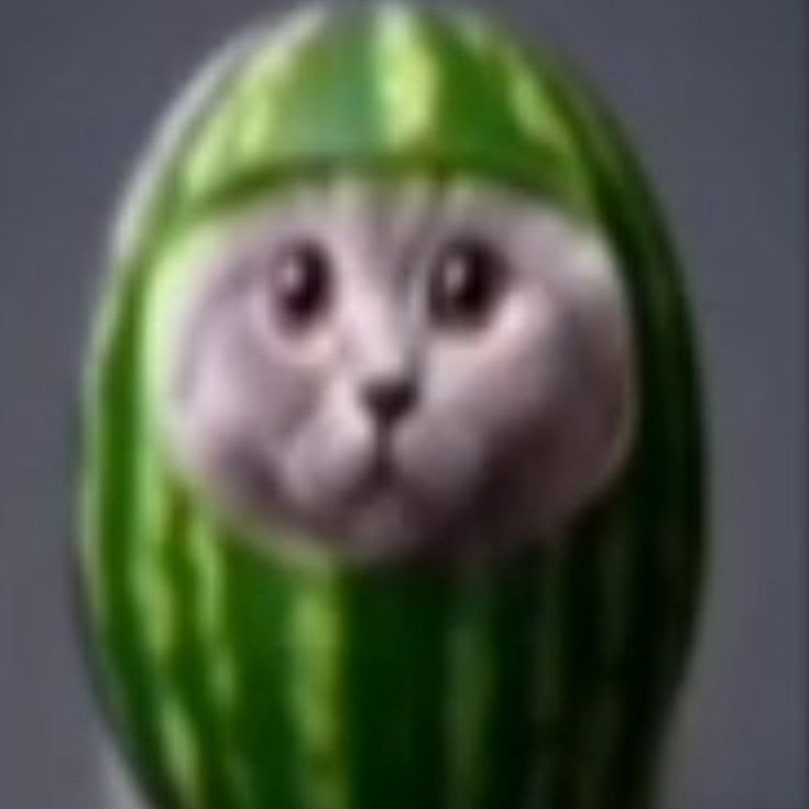 zxchepchik