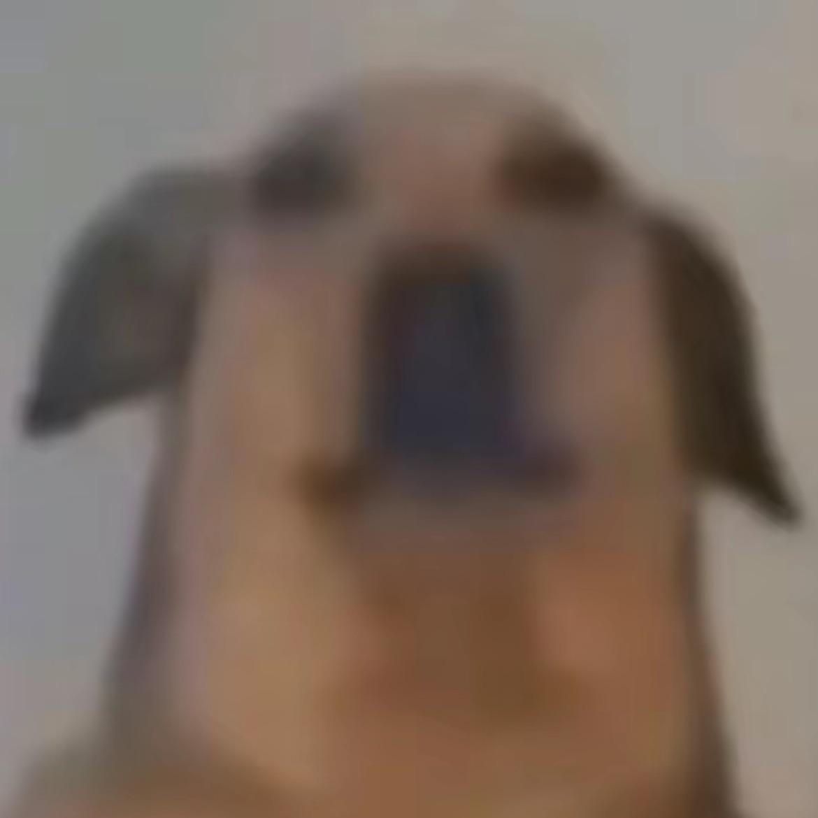 qwement