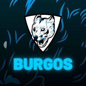 Player Burgosfps avatar