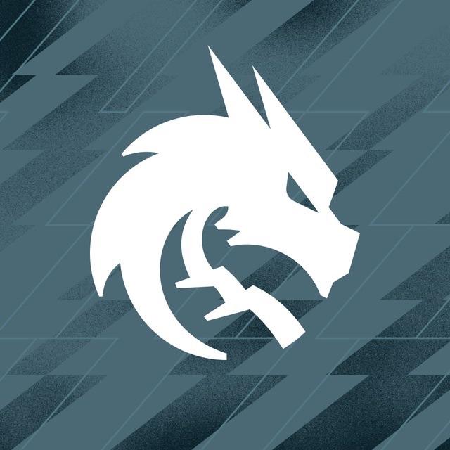 Team Spirit Club