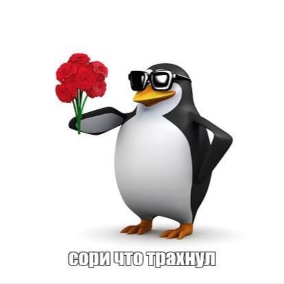 kodzaeeev