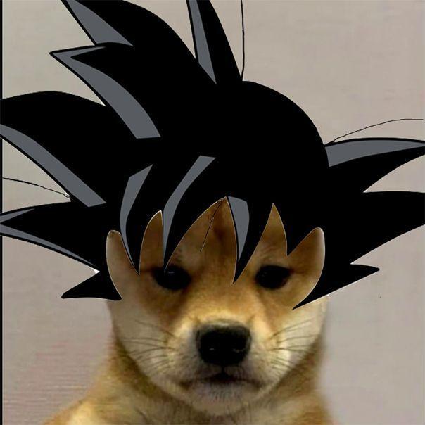 Tonnymon06 avatar