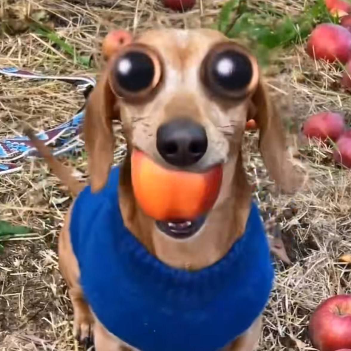 George_Floyd