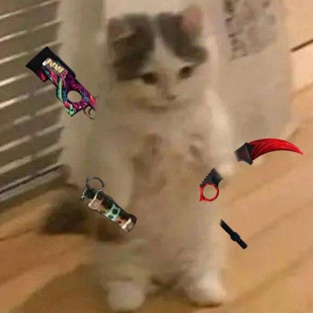 katzefraa