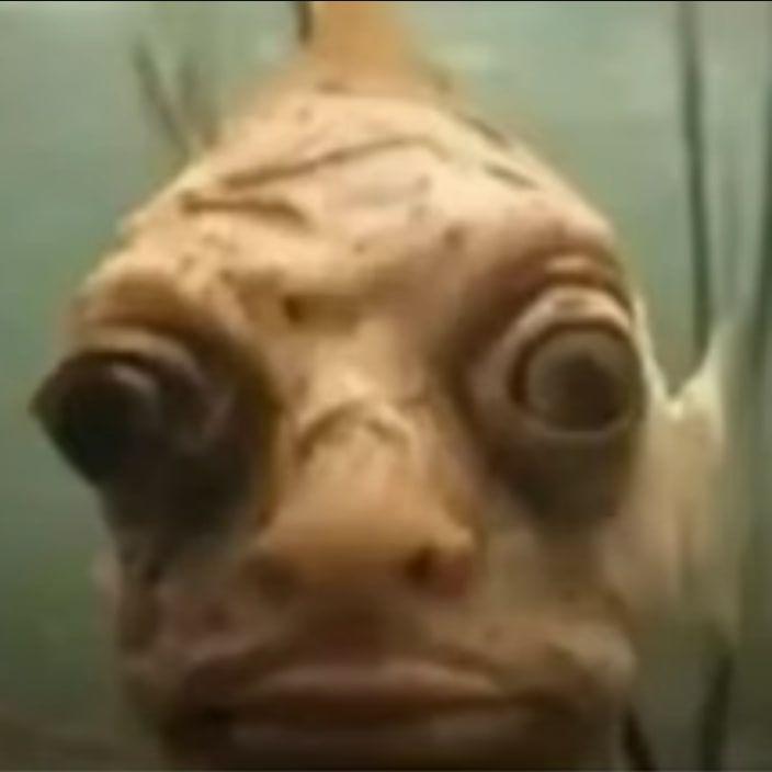 Pipiska_2015