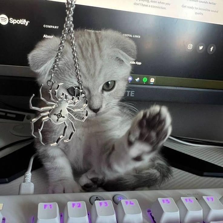 blantyxx avatar