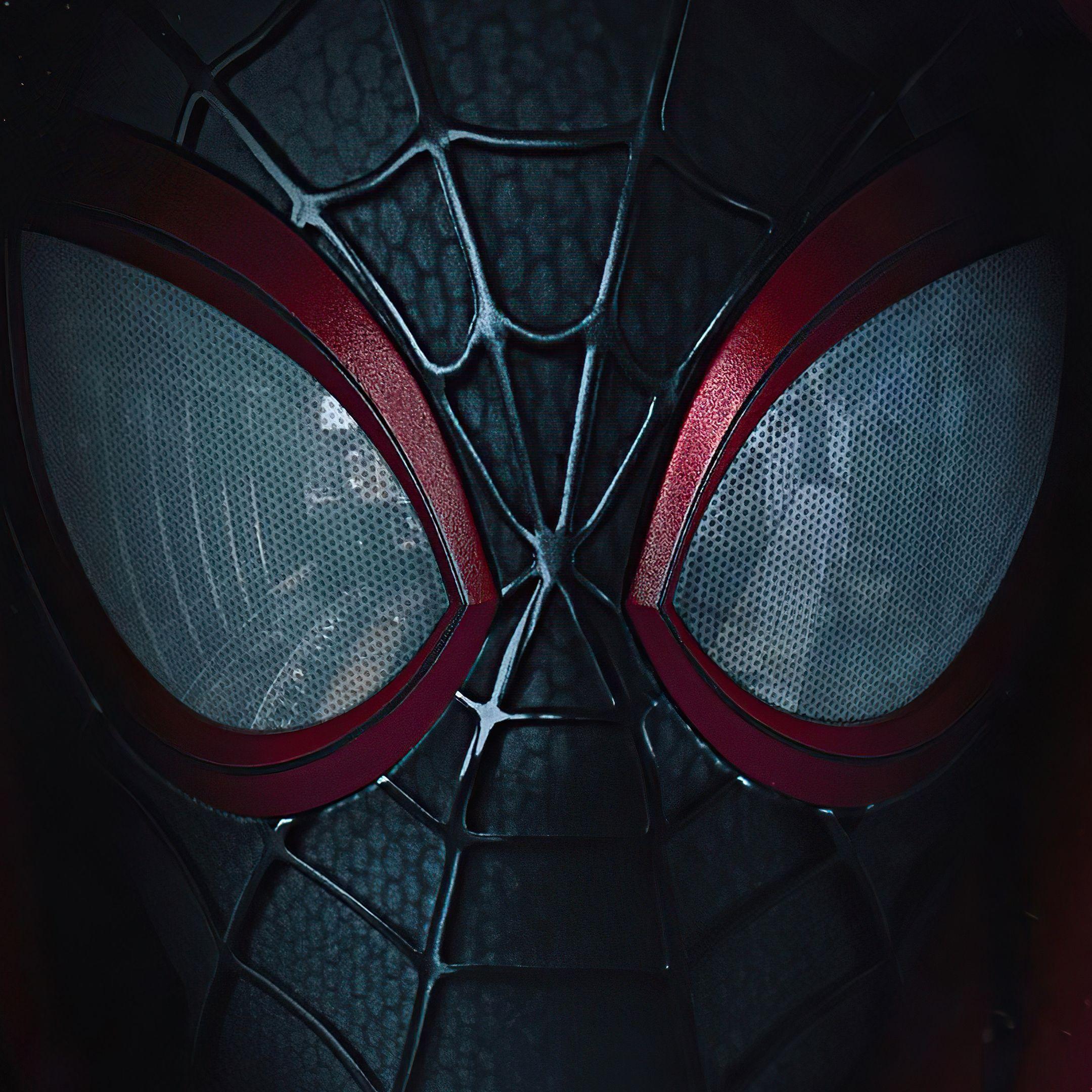 primegri avatar