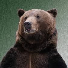Tom_Bear