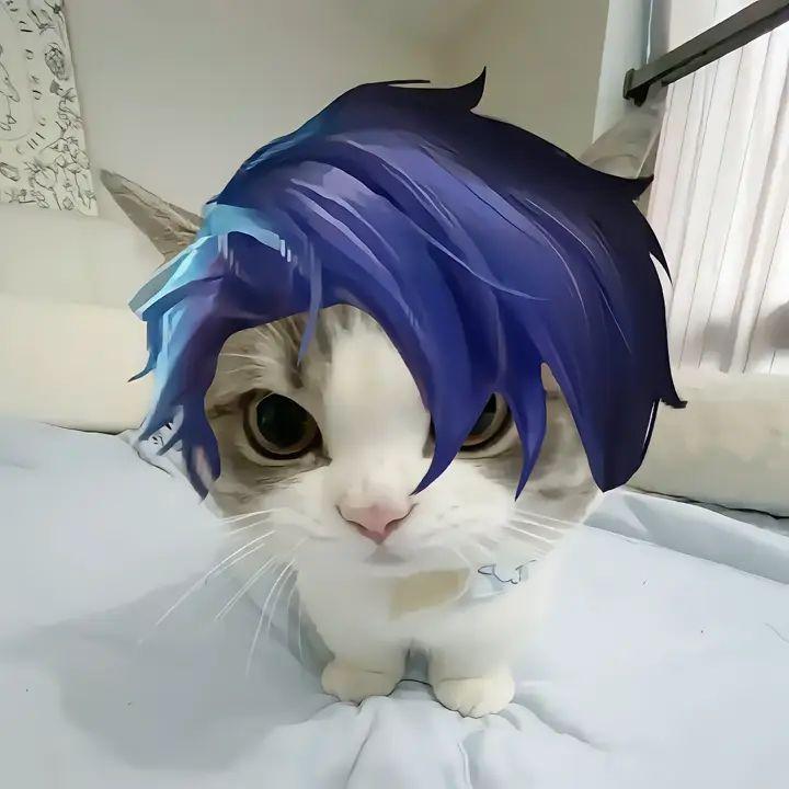 pointt1 avatar