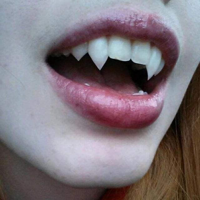 mellowdead avatar