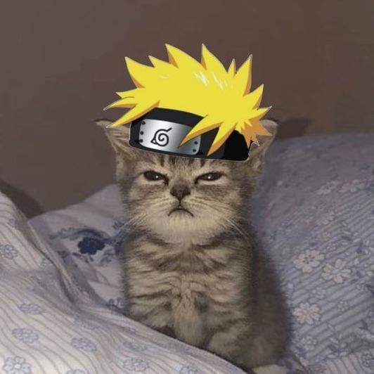 _samlva_ avatar