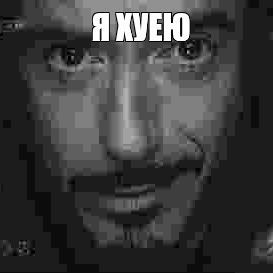 lolhess avatar