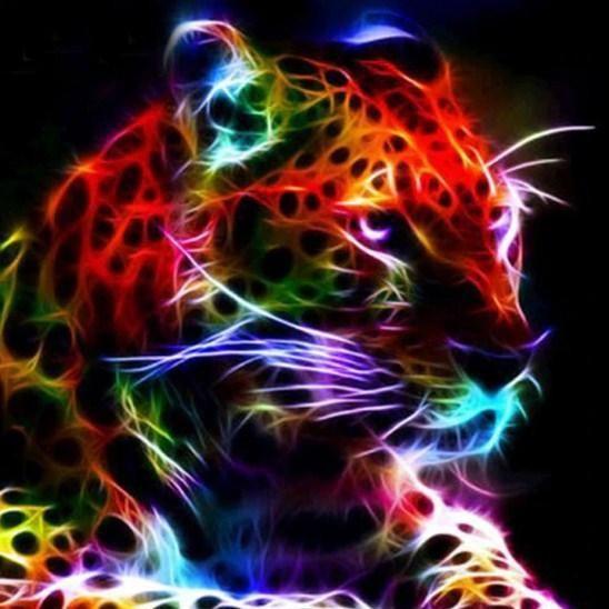 zoo4L avatar
