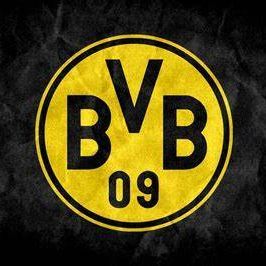 Ro1se99 avatar