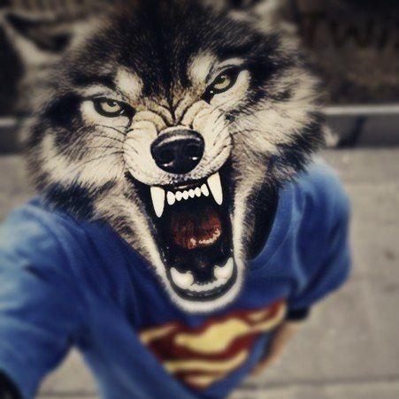 samadyy avatar