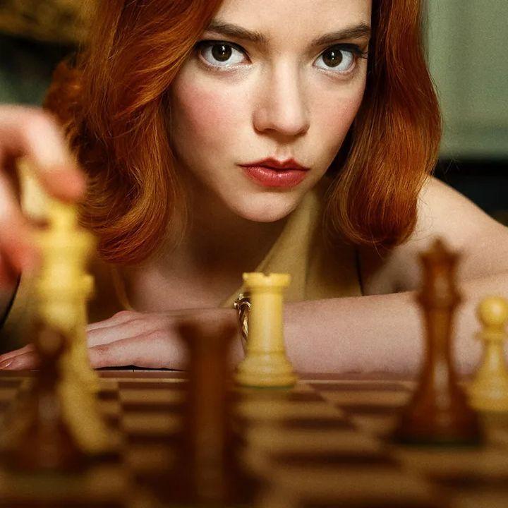 GAMBIT KASZTANA