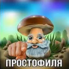 Dresak_ avatar