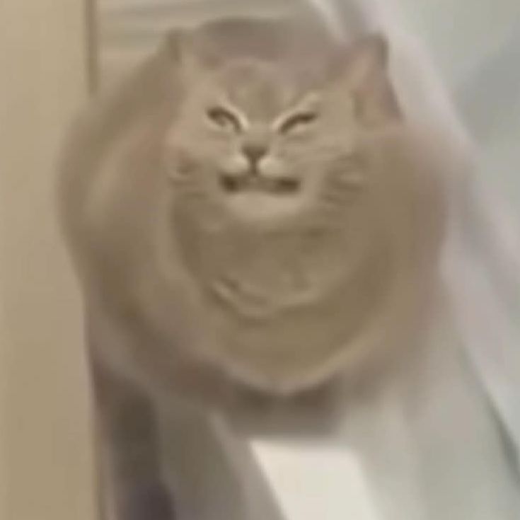 L0af