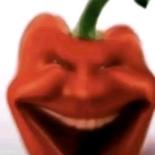 OB0W FACEIT avatar