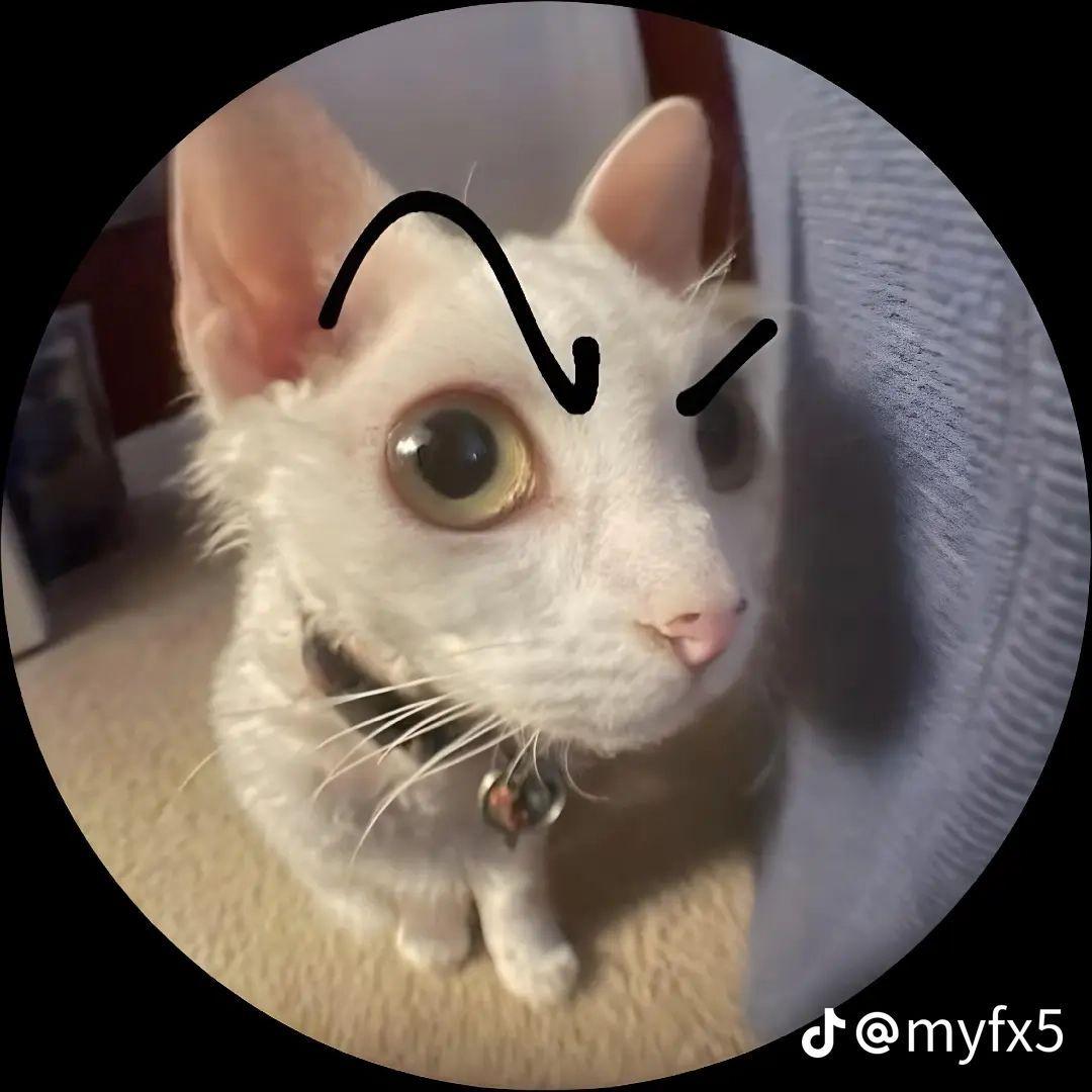 Runf_333 avatar