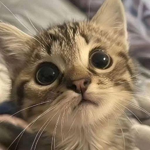 qwekake avatar