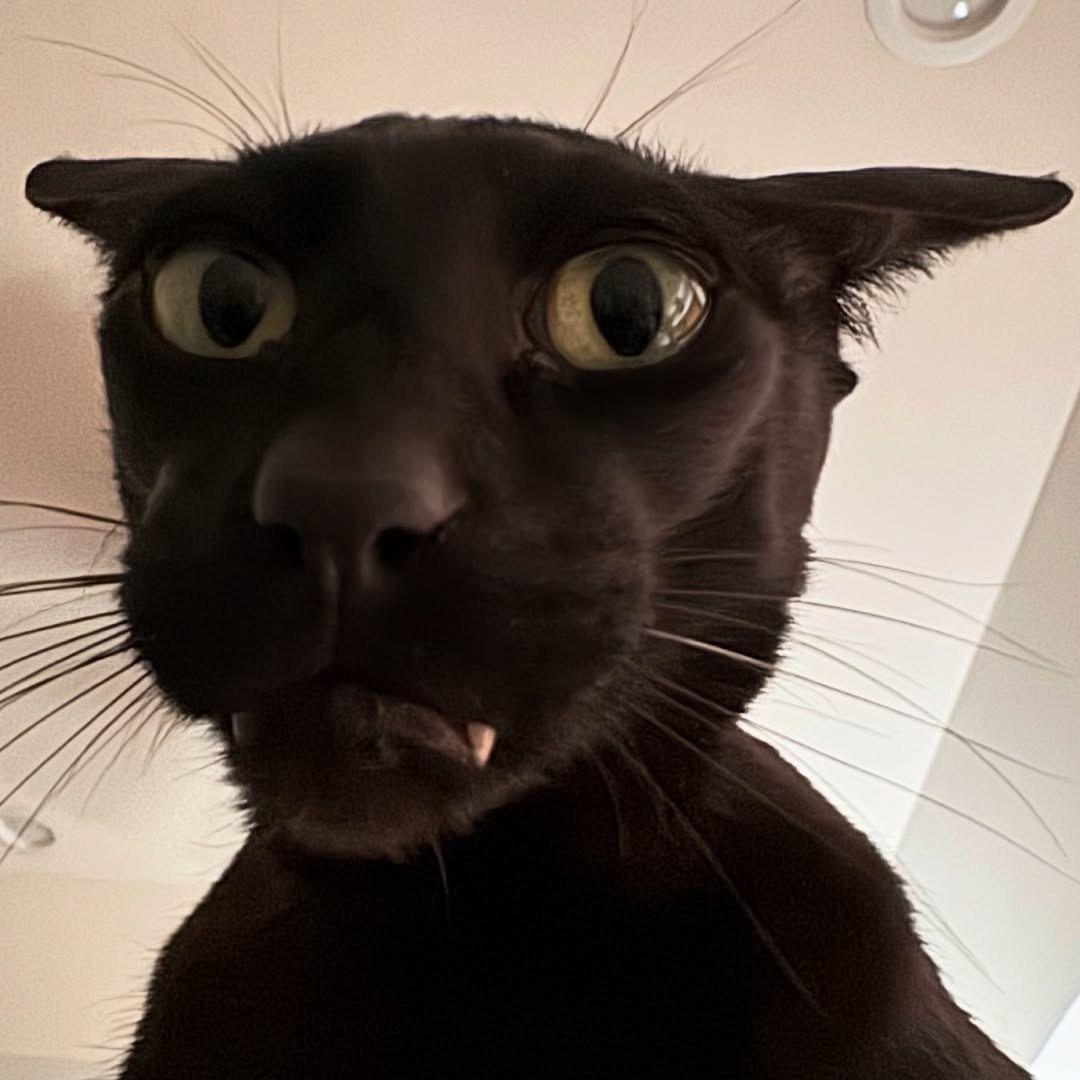 gltjxbM avatar