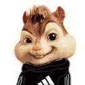 Alvin_2288 avatar