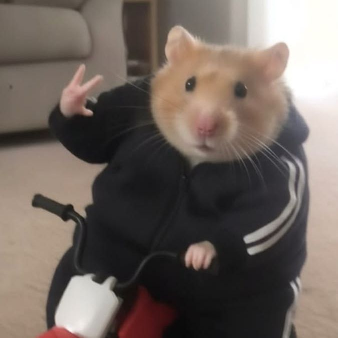 KLolren