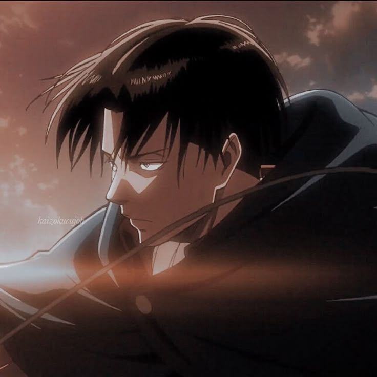 shadowqss avatar