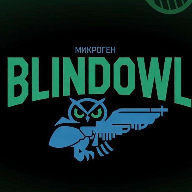 _BlindOwl_ avatar