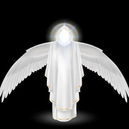 xplaxx avatar