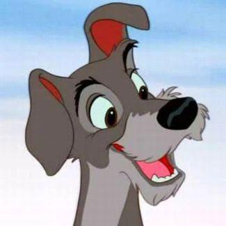 MWN9 avatar