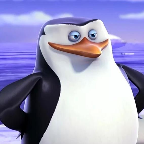 Sk1pper17 avatar