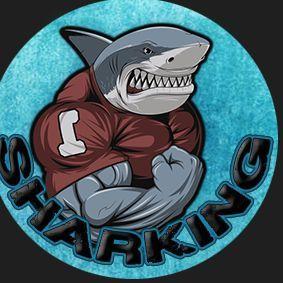 Sharking_fr avatar