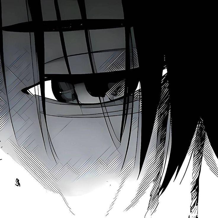 van1li avatar