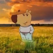 Zesttoo FACEIT avatar