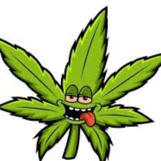 kanabik2k avatar