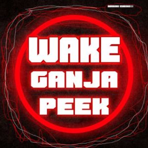 WakeGjPeek